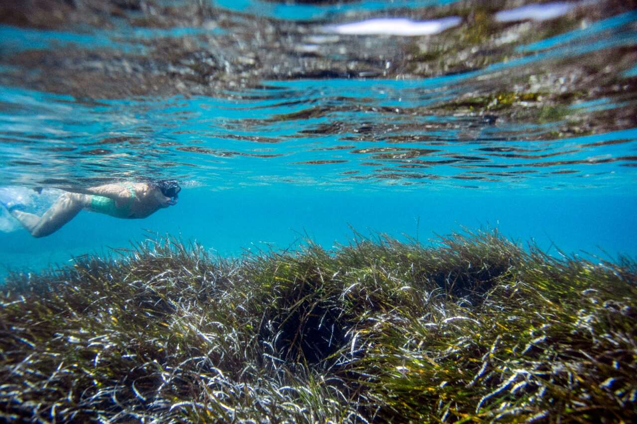 Bodrum'un Altındaki Gizli Dünya İlk Kez Bu Kadar Net Görüntülendi 5